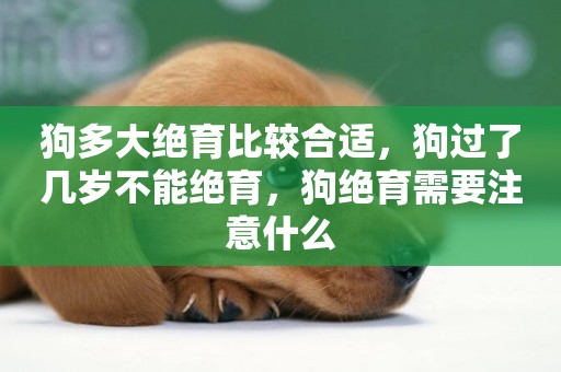 狗多大絕育比較合適，狗過了幾歲不能絕育，狗絕育需要注意什么