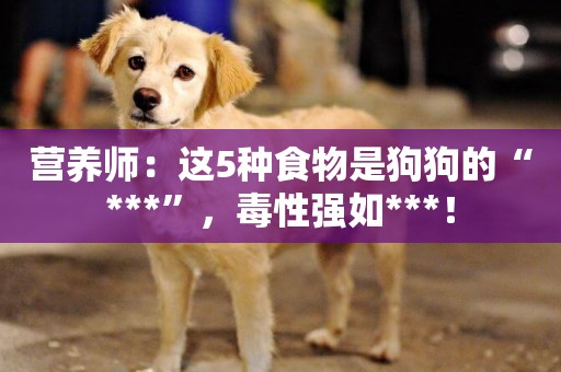 營養師：這5種食物是狗狗的“***”，毒性強如***！
