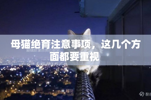 母貓絕育注意事項，這幾個方面都要重視 