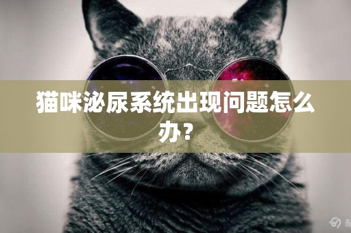 貓咪泌尿系統出現問題怎么辦？