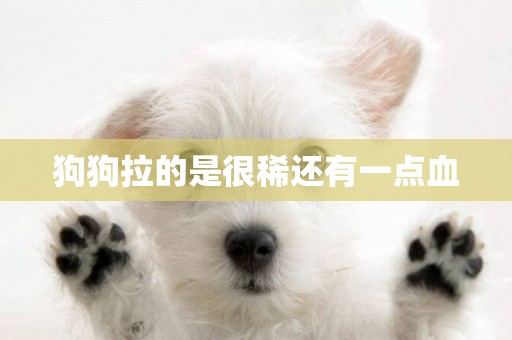 狗狗拉的是很稀還有一點血