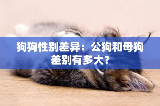 狗狗性別差異：公狗和母狗差別有多大？