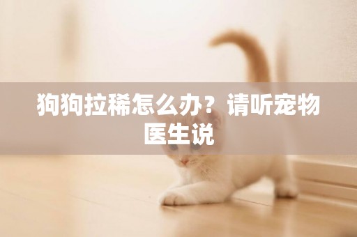 狗狗拉稀怎么辦？請聽寵物醫生說