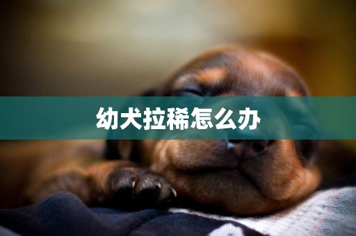 幼犬拉稀怎么辦