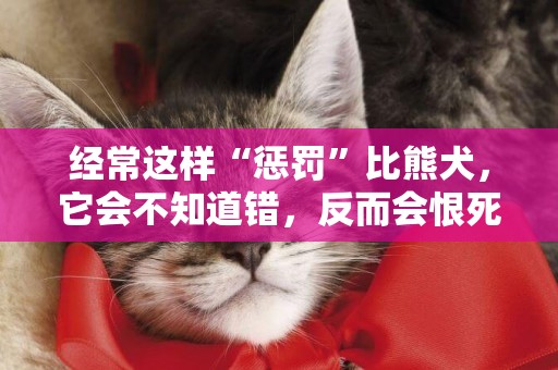 經常這樣“懲罰”比熊犬，它會不知道錯，反而會恨死你！