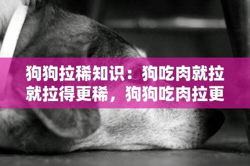 狗狗拉稀知識：狗吃肉就拉就拉得更稀，狗狗吃肉拉更稀的便