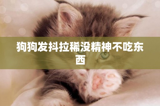 狗狗發抖拉稀沒精神不吃東西