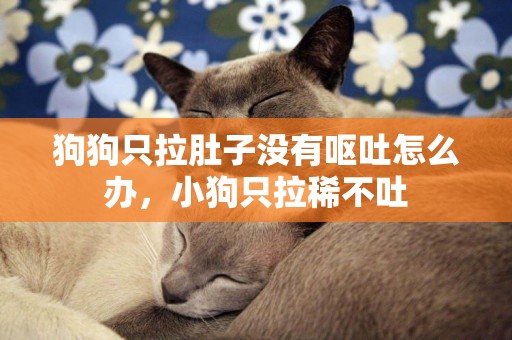 狗狗只拉肚子沒有嘔吐怎么辦，小狗只拉稀不吐