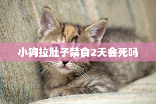 小狗拉肚子禁食2天會死嗎