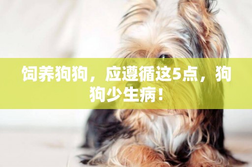飼養狗狗，應遵循這5點，狗狗少生病！
