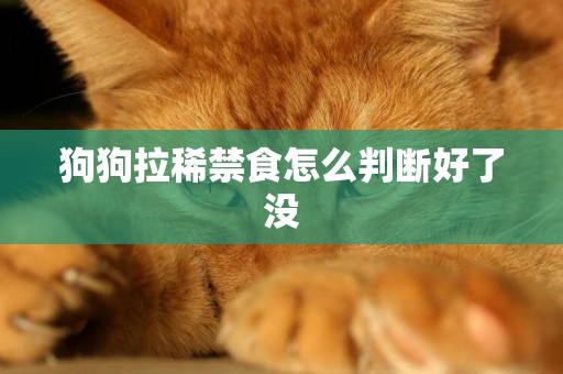 狗狗拉稀禁食怎么判斷好了沒