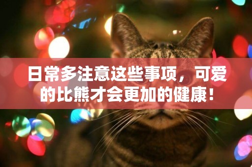 日常多注意這些事項，可愛的比熊才會更加的健康！