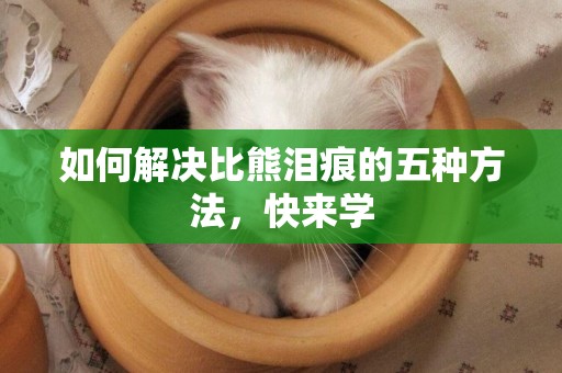 如何解決比熊淚痕的五種方法，快來學
