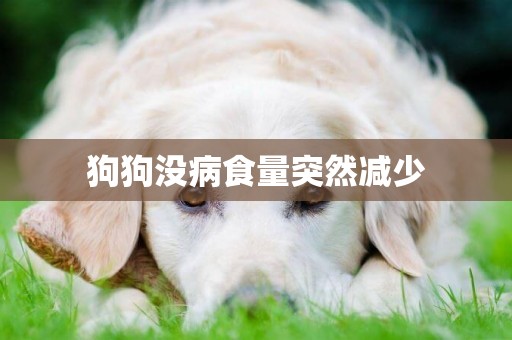狗狗沒病食量突然減少