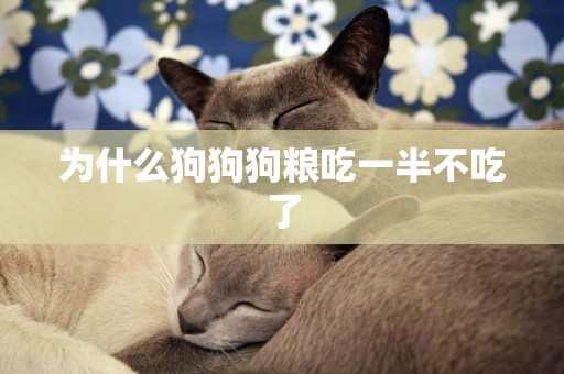 為什么狗狗狗糧吃一半不吃了
