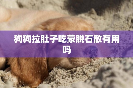 狗狗拉肚子吃蒙脫石散有用嗎