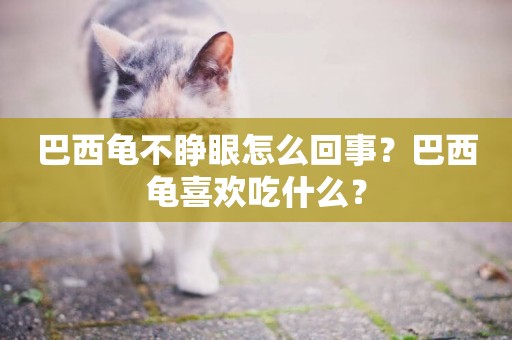巴西龜不睜眼怎么回事？巴西龜喜歡吃什么？