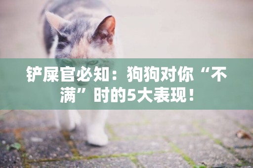 鏟屎官必知：狗狗對你“不滿”時的5大表現！