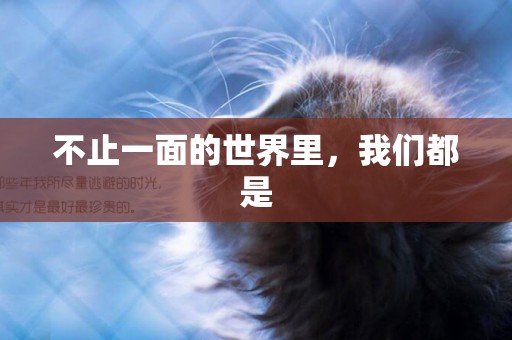 不止一面的世界里，我們都是
