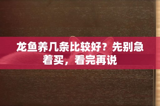 龍魚養幾條比較好？先別急著買，看完再說