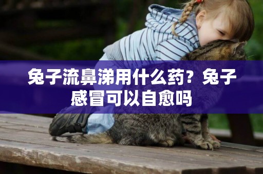 兔子流鼻涕用什么藥？兔子感冒可以自愈嗎