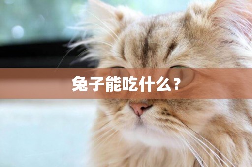 兔子能吃什么？