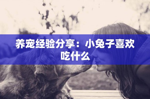 養寵經驗分享：小兔子喜歡吃什么