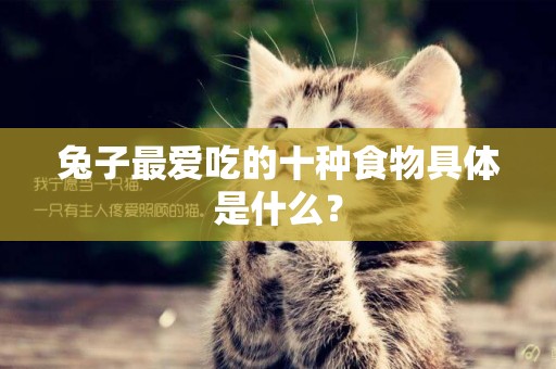 兔子最愛吃的十種食物具體是什么？