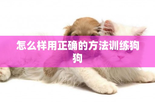 怎么樣用正確的方法訓練狗狗