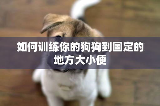 如何訓練你的狗狗到固定的地方大小便