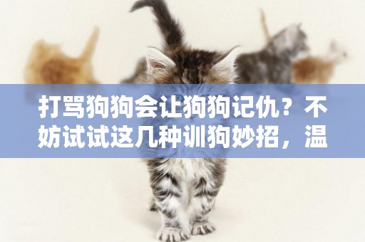 打罵狗狗會讓狗狗記仇？不妨試試這幾種訓狗妙招，溫和有效！