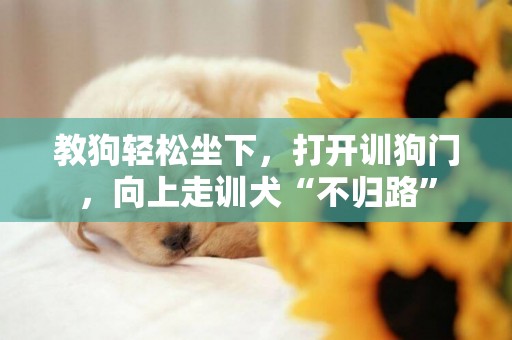 教狗輕松坐下，打開訓狗門，向上走訓犬“不歸路”