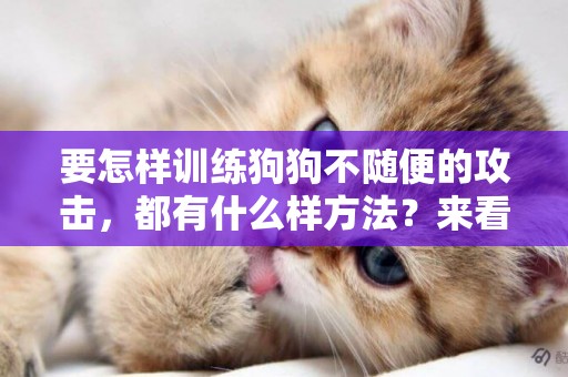 要怎樣訓練狗狗不隨便的攻擊，都有什么樣方法？來看看吧！