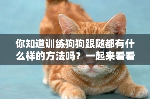 你知道訓練狗狗跟隨都有什么樣的方法嗎？一起來看看吧！