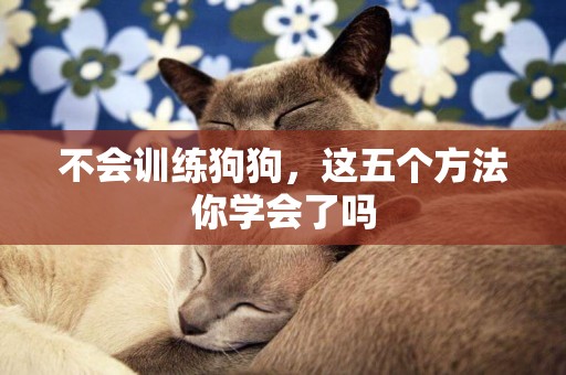 不會訓練狗狗，這五個方法你學會了嗎