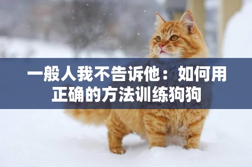 一般人我不告訴他：如何用正確的方法訓練狗狗