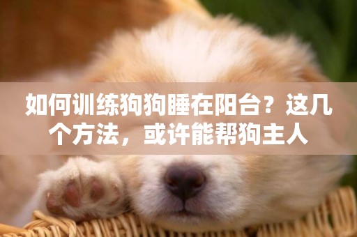 如何訓練狗狗睡在陽臺？這幾個方法，或許能幫狗主人