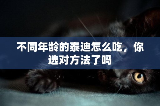 不同年齡的泰迪怎么吃，你選對方法了嗎