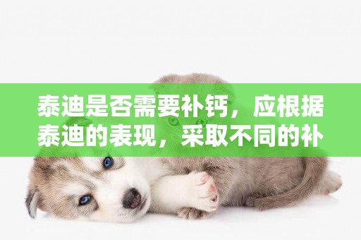 泰迪是否需要補鈣，應根據泰迪的表現，采取不同的補鈣方法！