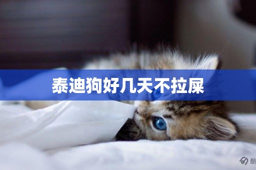 泰迪狗好幾天不拉屎