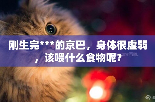 剛生完***的京巴，身體很虛弱，該喂什么食物呢？