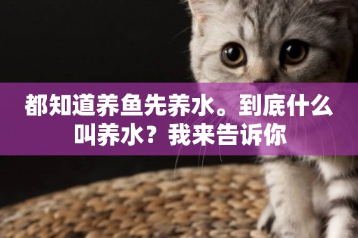 都知道養魚先養水。到底什么叫養水？我來告訴你