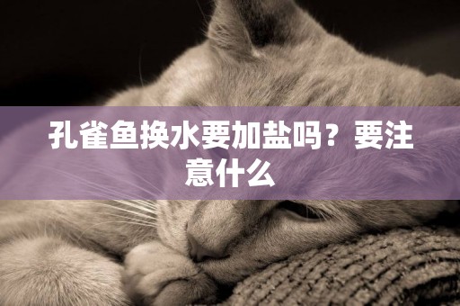 孔雀魚換水要加鹽嗎？要注意什么