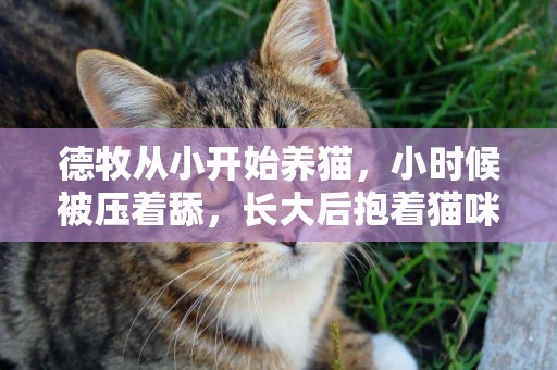 德牧從小開始養貓，小時候被壓著舔，長大后抱著貓咪啃