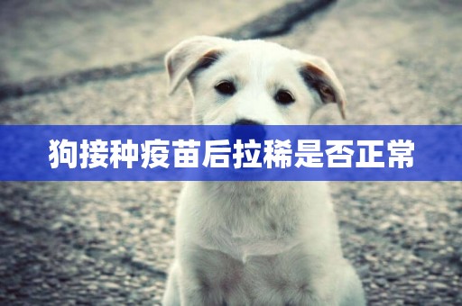 狗接種疫苗后拉稀是否正常