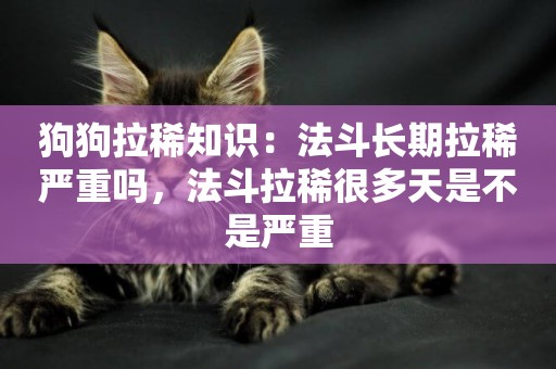 狗狗拉稀知識：法斗長期拉稀嚴重嗎，法斗拉稀很多天是不是嚴重