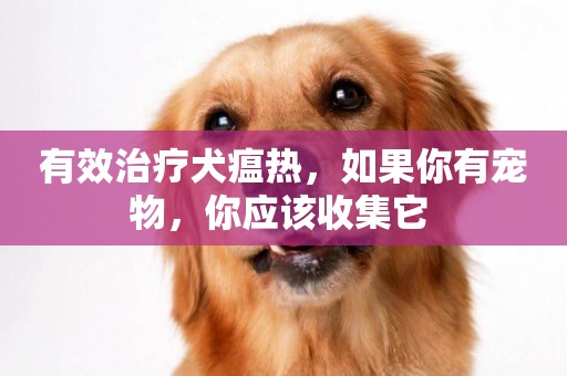 有效治療犬瘟熱，如果你有寵物，你應該收集它 