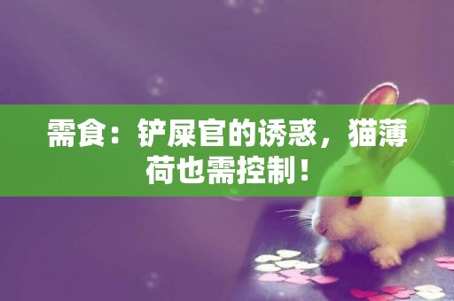需食：鏟屎官的誘惑，貓薄荷也需控制！