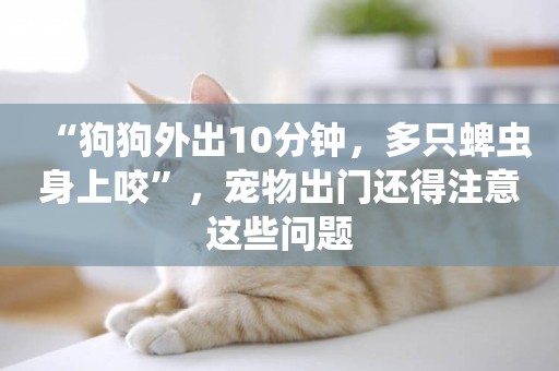 “狗狗外出10分鐘，多只蜱蟲身上咬”，寵物出門還得注意這些問題