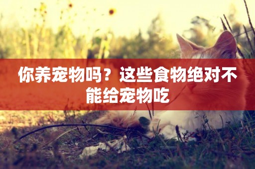 你養寵物嗎？這些食物絕對不能給寵物吃